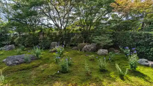 天得院(京都府)