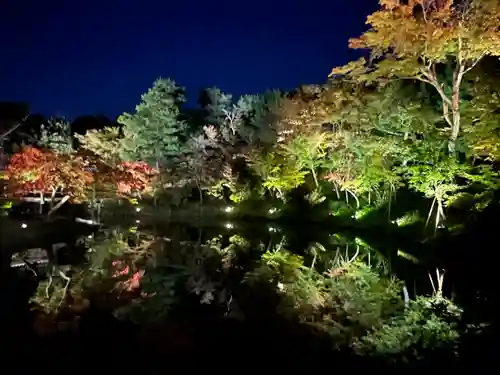 高台寺（高台寿聖禅寺・高臺寺）(京都府)