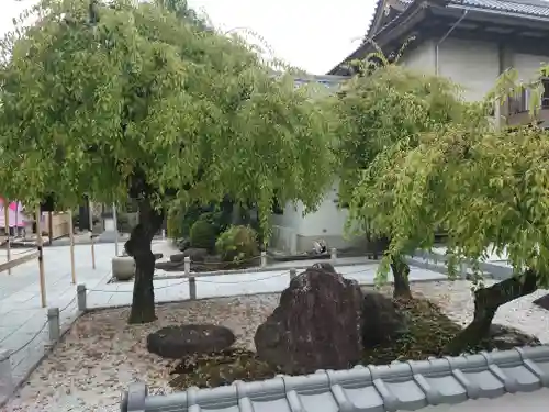 信松院(東京都)