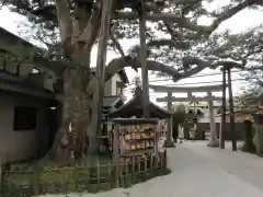 御霊神社(神奈川県)