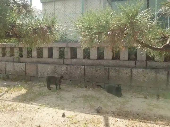 住吉大社(大阪府)