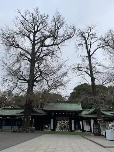 大宮八幡宮の自然
