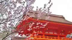 賀茂別雷神社（上賀茂神社）の本殿