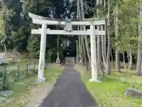 大寳神社の{uncategorized: "未分類", other: "その他", undefined: "問題あり", building: "その他建物", grave: "お墓", sacred_gate: "鳥居", guardian: "狛犬", statue: "像", buddha: "仏像", history: "歴史", nature: "自然", garden: "庭園", animal: "動物", pagoda: "塔", temizu: "手水舎", mountain_gate: "山門・神門", sanctuary: "本殿・本堂", subordinate: "末社・摂社", art: "芸術", scenery: "景色", jizo: "地蔵", ema: "絵馬", goshuin: "御朱印", omikuji: "おみくじ", items: "授与品その他", amulet: "お守り", goshuincho: "御朱印帳", eats: "食事", festival: "お祭り", votive_dance: "神楽", shichigosan: "七五三参", wedding: "結婚式", experience: "体験その他", initially: "初詣", around: "周辺", anti_infection: "感染症対策"}