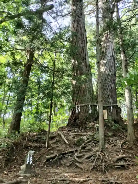 戸隠神社火之御子社(長野県)