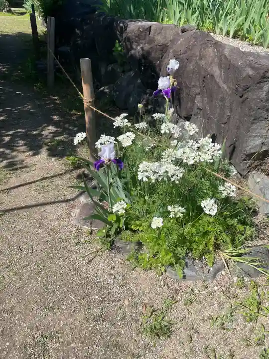 金剛寺(奈良県)