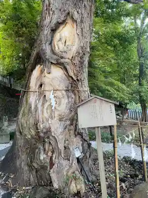 山名八幡宮(群馬県)