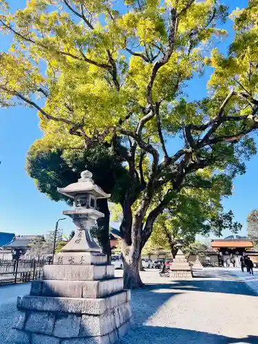 東寺（教王護国寺）(京都府)