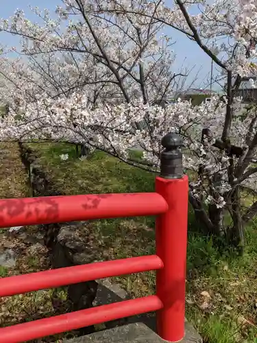 自凝島神社の自然