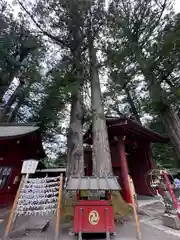 本宮神社（日光二荒山神社別宮）(栃木県)