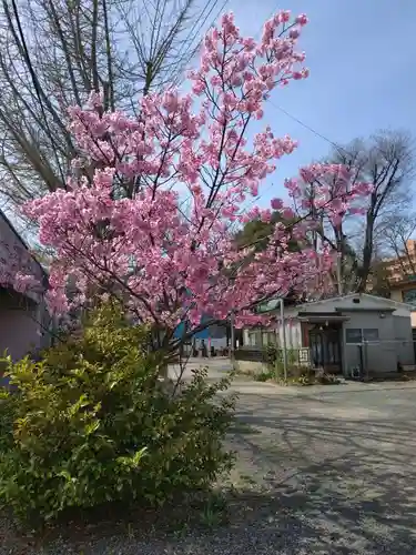 阿邪訶根神社(福島県)