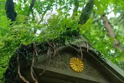 天岩戸神社(宮崎県)
