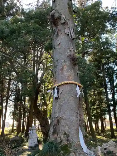 春日神社(栃木県)
