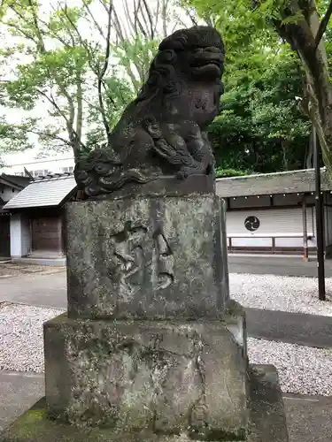 富岡八幡宮の狛犬