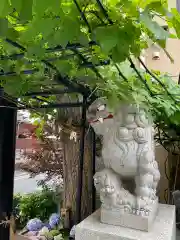 菊名神社の狛犬