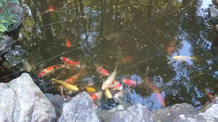 猿田彦神社の庭園