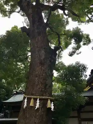 梶無神社の自然
