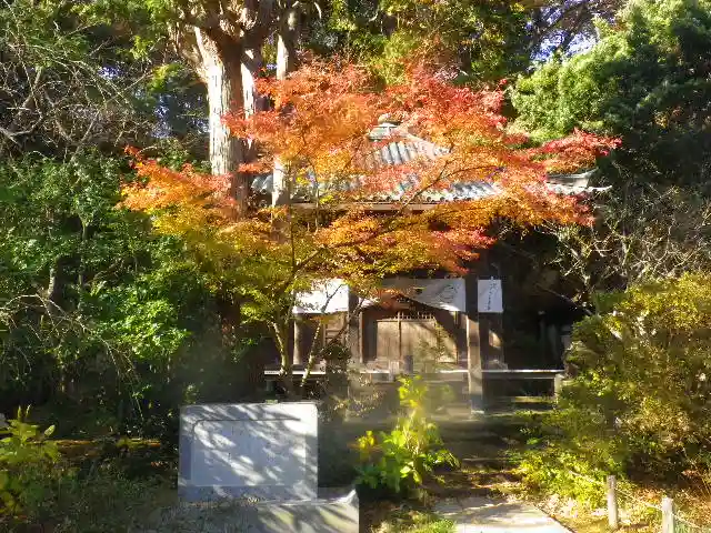 安國論寺(安国論寺)の自然
