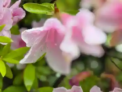 西方山極楽寺(岐阜県)