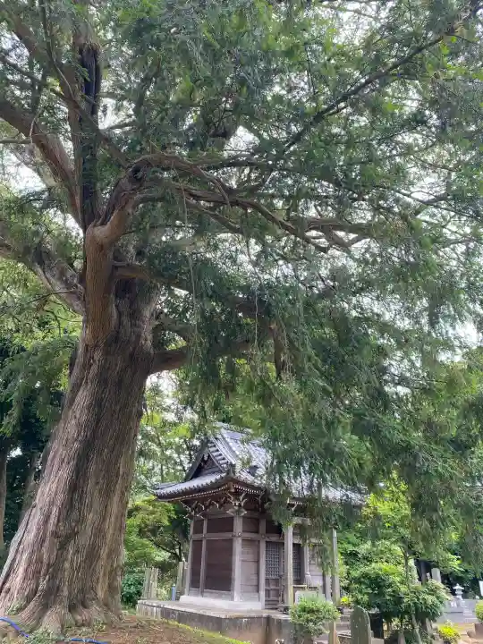 東源寺(千葉県)