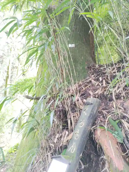 武蔵御嶽神社(東京都)