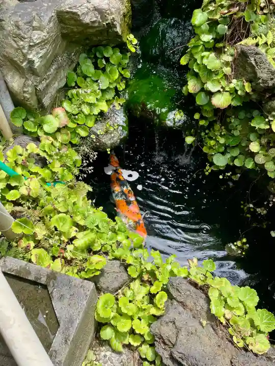 妙見寺(東京都)