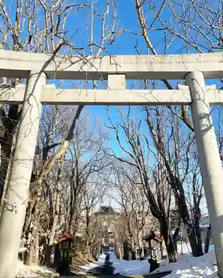 釧路一之宮 厳島神社の鳥居