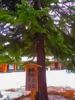 北海道神宮(北海道)