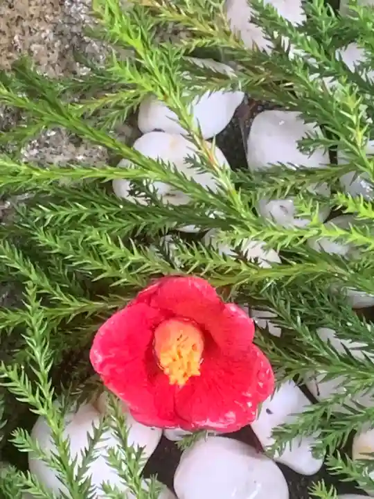 蝮ヶ池八幡宮の手水舎