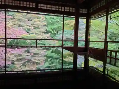 光明寺瑠璃光院(京都府)