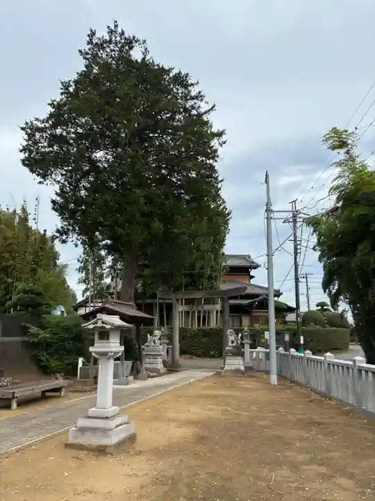 子安神社(千葉県)