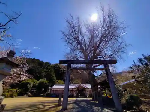 丹生酒殿神社の鳥居