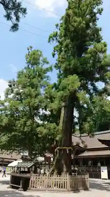 大神神社のその他建物
