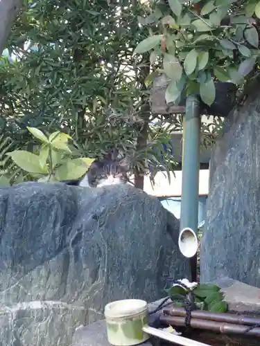 溝口神社(神奈川県)