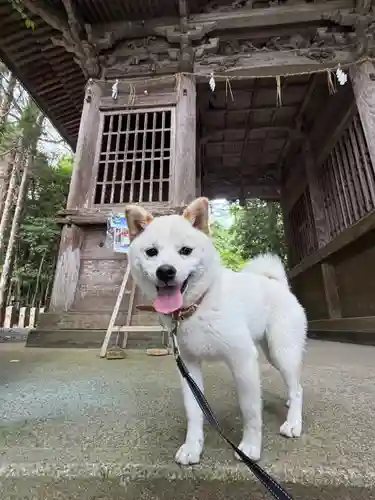 彦嶽宮の御朱印