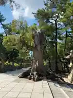 住吉大社の自然