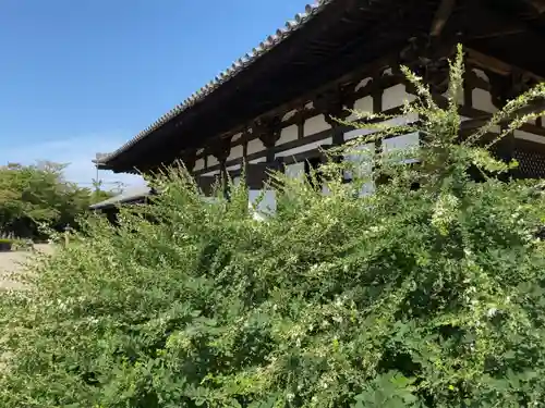 元興寺の本殿・本堂