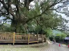 蒲生八幡神社(鹿児島県)