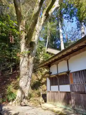 丹生川上神社（下社）の{uncategorized: "未分類", other: "その他", undefined: "問題あり", building: "その他建物", grave: "お墓", sacred_gate: "鳥居", guardian: "狛犬", statue: "像", buddha: "仏像", history: "歴史", nature: "自然", garden: "庭園", animal: "動物", pagoda: "塔", temizu: "手水舎", mountain_gate: "山門・神門", sanctuary: "本殿・本堂", subordinate: "末社・摂社", art: "芸術", scenery: "景色", jizo: "地蔵", ema: "絵馬", goshuin: "御朱印", omikuji: "おみくじ", items: "授与品その他", amulet: "お守り", goshuincho: "御朱印帳", eats: "食事", festival: "お祭り", votive_dance: "神楽", shichigosan: "七五三参", wedding: "結婚式", experience: "体験その他", initially: "初詣", around: "周辺", anti_infection: "感染症対策"}