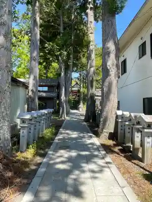 山中浅間神社の{uncategorized: "未分類", other: "その他", undefined: "問題あり", building: "その他建物", grave: "お墓", sacred_gate: "鳥居", guardian: "狛犬", statue: "像", buddha: "仏像", history: "歴史", nature: "自然", garden: "庭園", animal: "動物", pagoda: "塔", temizu: "手水舎", mountain_gate: "山門・神門", sanctuary: "本殿・本堂", subordinate: "末社・摂社", art: "芸術", scenery: "景色", jizo: "地蔵", ema: "絵馬", goshuin: "御朱印", omikuji: "おみくじ", items: "授与品その他", amulet: "お守り", goshuincho: "御朱印帳", eats: "食事", festival: "お祭り", votive_dance: "神楽", shichigosan: "七五三参", wedding: "結婚式", experience: "体験その他", initially: "初詣", around: "周辺", anti_infection: "感染症対策"}