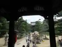 智恩寺の景色