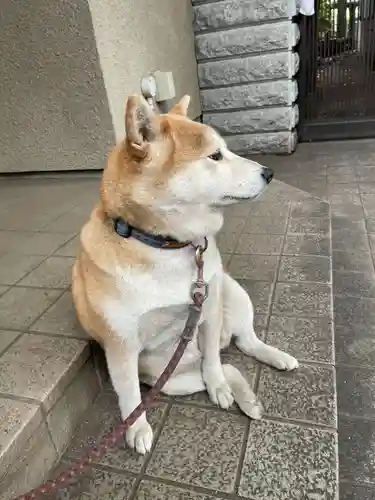 笠䅣稲荷神社(神奈川県)