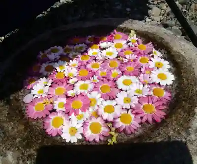帯廣神社の手水舎