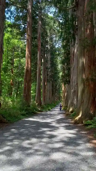戸隠神社奥社(長野県)