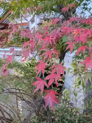 成子天神社(東京都)