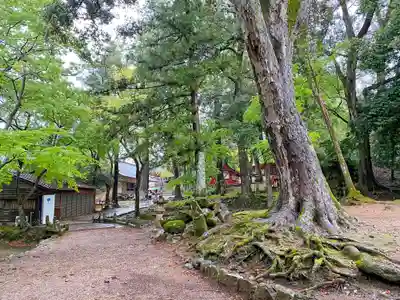 手向山八幡宮のその他建物