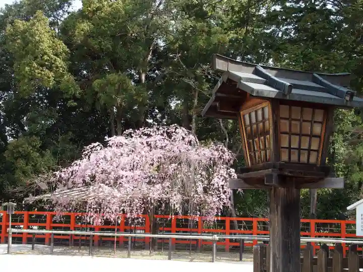 賀茂別雷神社(上賀茂神社)(京都府)