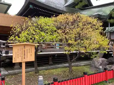 白山神社(新潟県)