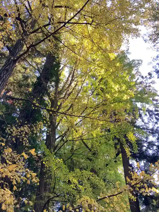 都々古別神社(八槻)(福島県)