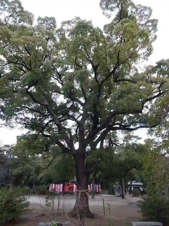 兵主神社(大阪府)
